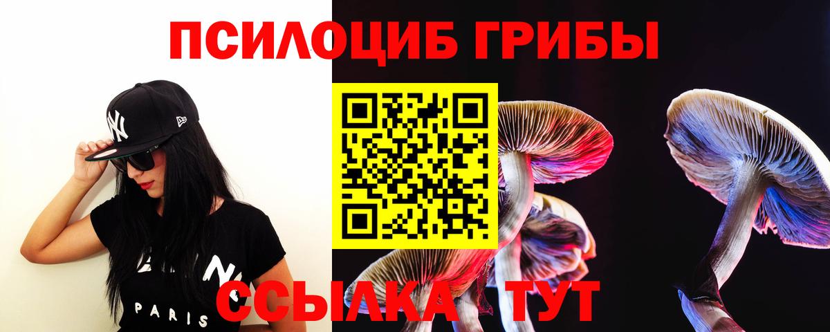 Галлюциногенные грибы Cubensis Сыктывкар
